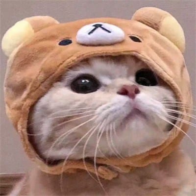 Imran Khan Niazi avatar